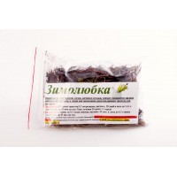 Зимолюбка