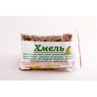 Хмель