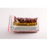 Сосновые почки